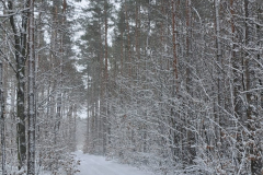 622381224_3548105638660756_5918994867859924293_n