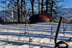 628312595_3559297067541613_3368872880308462304_n